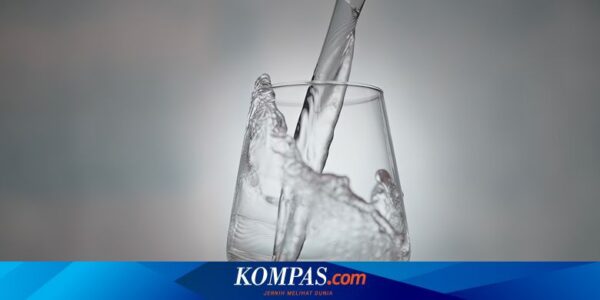 Manfaat Air Minum Murni, Sehat buat Keluarga dan Bisa untuk Detoksifikasi Alami