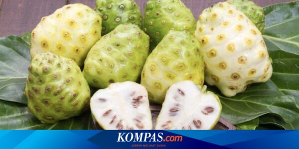 Manfaat Ekstrak Mengkudu dan Bratawali untuk Diabetes