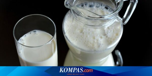 Memahami Kandungan Gula Alami dan Tambahan pada Produk Susu