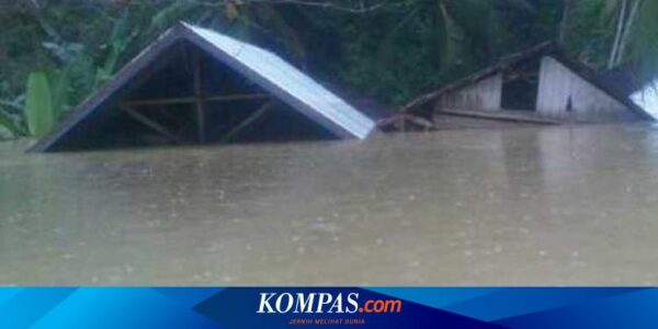 Myanmar Berjuang Lawan Banjir Besar, Warga Ada yang Berlindung di Pohon