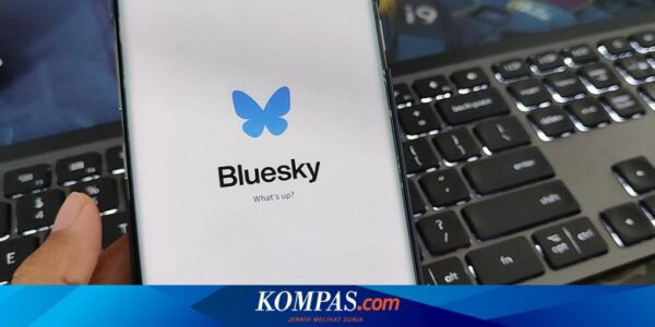 Pengguna Medsos Bluesky Tembus 9 Juta, Tuah Pemblokiran X di Brasil