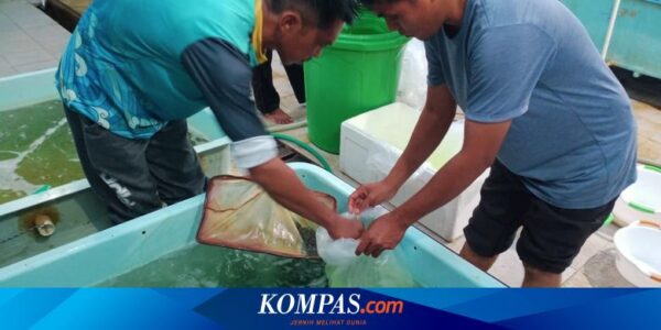 Perkuat Sinergi di Lingkup Internal, Kementerian KP Kembangkan SFV Kolaborasi Multiproduk