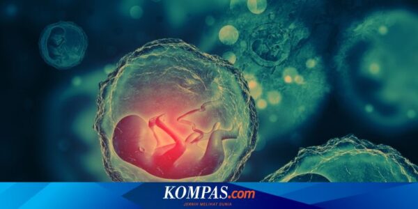 PP Kesehatan Larang Kelebihan Embrio Reproduksi dengan Bantuan Ditanam di Rahim Bukan Istri