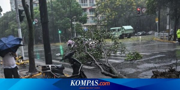 Shanghai Lumpuh Diterjang Topan Terkuat Sejak 1949, Seperti Ini Kerusakannya