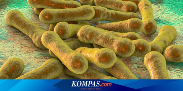 Tahun 2050, Bakteri Super yang Resisten pada Obat Bakal Bunuh 39 Juta Orang