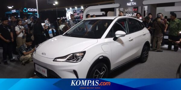 Tesla Enggan Investasi di Indonesia karena Banyak Mobil China, Ini Kata Neta