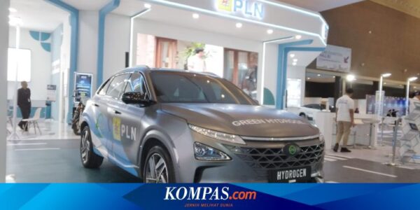 Tolak Insentif Hybrid, Periklindo Lebih Dukung Mobil Hidrogen