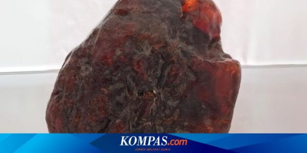 [UNIK GLOBAL] Batu Ganjal Pintu Ternyata Harta Karun | Kembar 3 di Kampus Sama