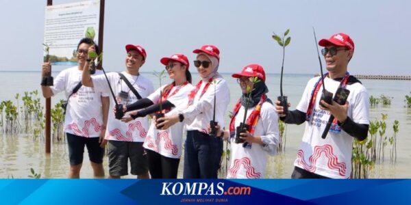 AHM Tanam Ribuan Bakau di Pulau Pramuka