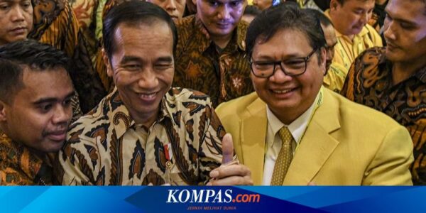 Airlangga Mundur dari Ketum Golkar, Jokowi: Itu Urusan Internal Parpol