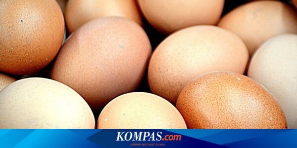 Alergi Telur, Bagaimana Gejala dan Pencegahannya?