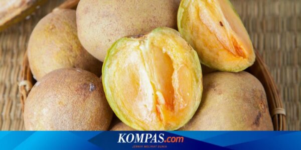 Apa Akibat Terlalu Banyak Makan Sawo? Berikut 4 Daftarnya…