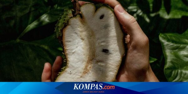 Apa Khasiat Buah Sirsak? Berikut 14 Daftarnya…