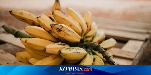 Apakah Buah Pisang Baik untuk Ginjal? Berikut Penjelasannya…