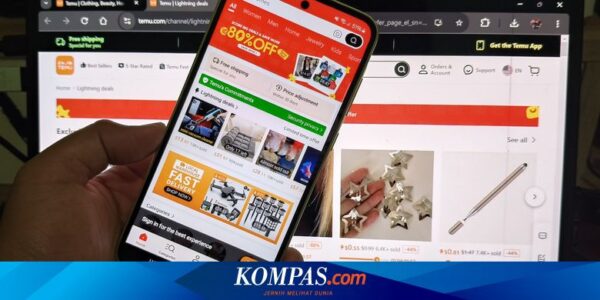 Aplikasi Temu Dinilai Berbahaya dari Aspek Keamanan, Kenapa?