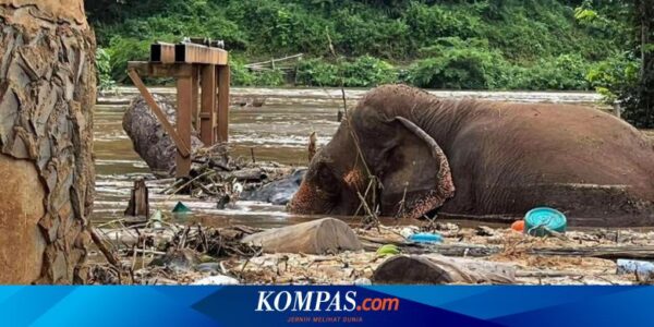 Banjir Thailand Masih Genangi 20 Provinsi, Lebih dari 34.000 Keluarga Terdampak