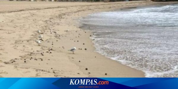 Bola-bola Hitam Misterius Muncul Tiba-tiba di Pantai Sydney, Picu Penutupan, Pemerintah Kebingungan