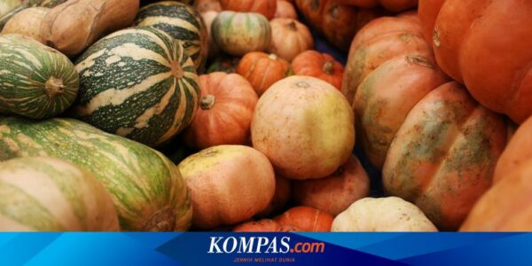 Buah Labu untuk Obat Apa? Berikut 10 Daftarnya…