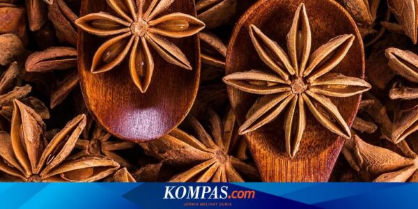 Bunga Lawang Bisa Jadi Obat Alami untuk Apa? Ini Ulasannya…