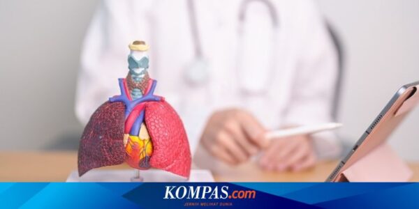 Cara Praktis Turunkan Risiko Penyakit Kronis Menurut PAFI