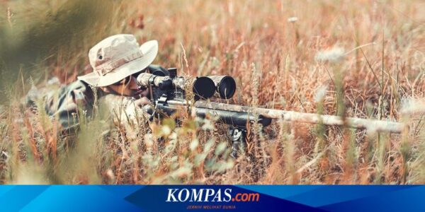 Dikira Babi Hutan, Pria di Korsel Tewas Tertembak Sesama Pemburu