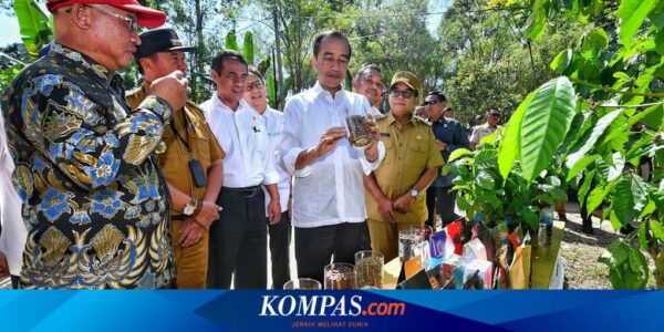 Diteken Jokowi, Perpres IKN Atur Pemerintah Bisa Tunjuk Pelaku Usaha Pelopor untuk Bangun Nusantara