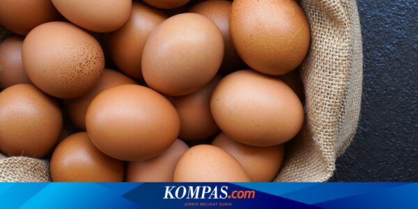 Eksperimen Mahasiswa Kedokteran Makan 720 Telur dalam 28 Hari, Hasilnya Tak Terduga