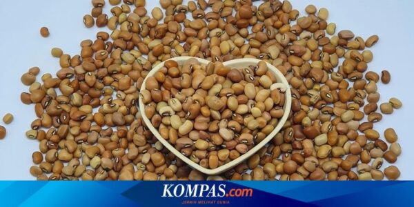 Ini Manfaat Kacang Tolo untuk Kesehatan