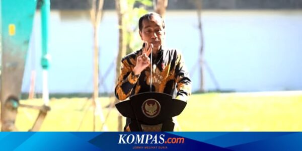 Jokowi Ungkap OIKN Siapkan 493 Bidang Tanah untuk Investor, Diluncurkan Pekan Depan