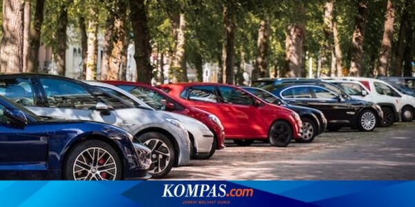 Kabar Viral Remaja Jerman Punya Hobi Unik Laporkan Pelanggaran Parkir