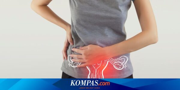 Kanker Ovarium yang Harus Diwaspadai Wanita, Apa Faktanya?