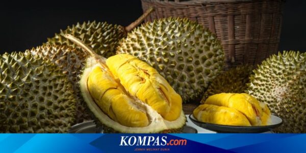 Ketika Harga Kopi Dunia Naik gara-gara Durian…