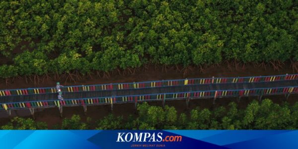 Konsisten Lakukan Upaya Dekarbonisasi, Antam Tetap Jadi Bagian Indeks ESG di IDX