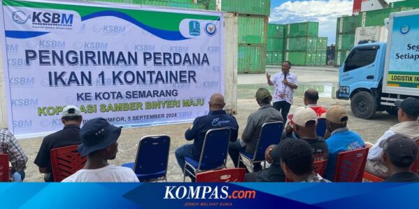 KSBM Biak Sukses Kirim 13,3 Ton Ikan Segar, Wujud Dampak Positif Program Kalamo