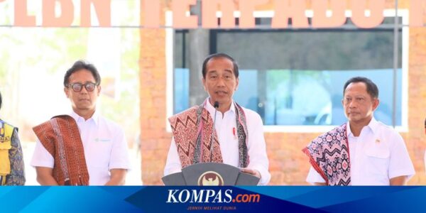 Mendagri Dampingi Presiden Jokowi Resmikan 7 PLBN secara Serentak