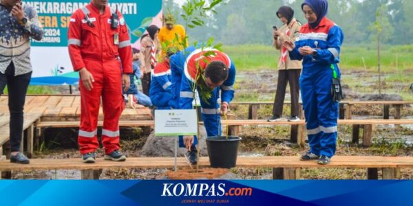 Pertama di Indonesia, Pemprov Sumsel dan PT KPI Bangun Taman Rawa dengan 55 Spesies Pohon Langka