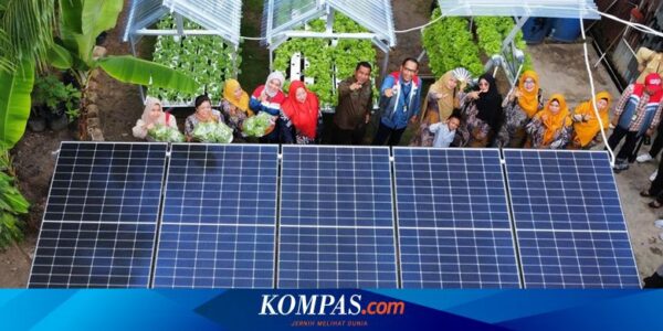 Pertamina Grup Manfaatkan Energi Hijau untuk Komunitas Hidroponik Sehati Kota Dumai