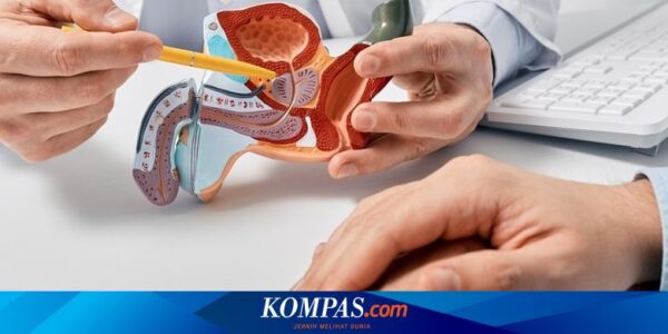 Pria 45 Tahun Wajib Cek Kanker Prostat, Begini Penjelasan Dokter…