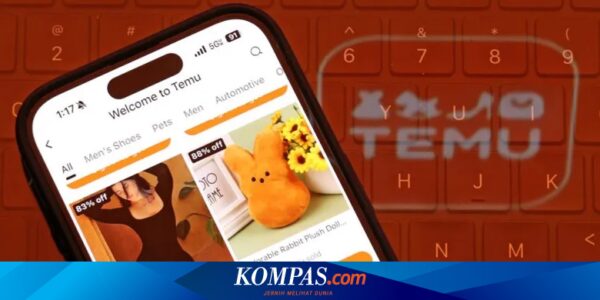 Tak Hanya di Indonesia, Marketplace Temu Juga Ditentang di Eropa dan AS