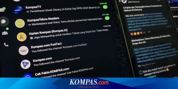 WhatsApp Channels, Cara Baru Perusahaan Media untuk Gaet Audiens